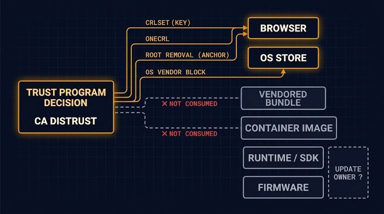 CA distrust fan-out: one trust-program decision reaches browsers and OS stores through vendor-controlled paths and stops short of bundles, images, runtimes and firmware