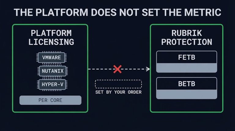 Rubrik virtual stack TCO calculator diagram: platform licensing and the Rubrik metric kept as separate models, with the metric set by the order